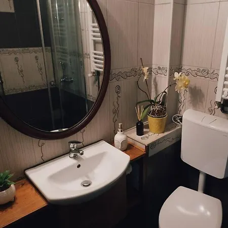 Vista Studio Brasov In The Heart Of The Old City Center Extérieur photo